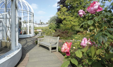 Gardens in Birmingham showing a wooden bench and flowers