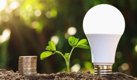 On a mound of soil, there is a pile of coins, a budding plant and a light bulb