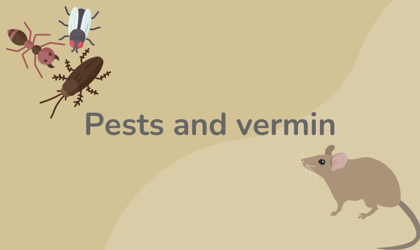 Pests And Vermin