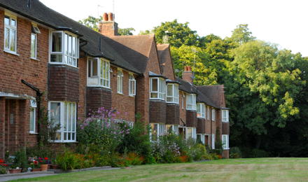 A row of homes in the shade with trees in the background