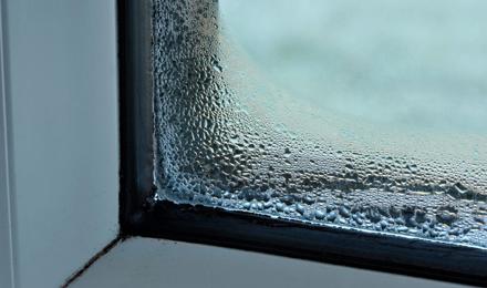 Condensation gathering on a window