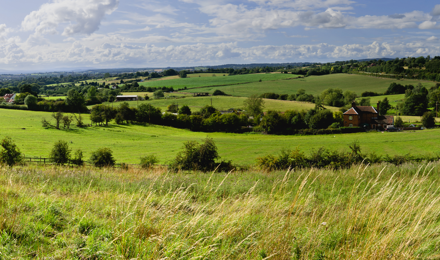 Peaceful fields in Worcestershire