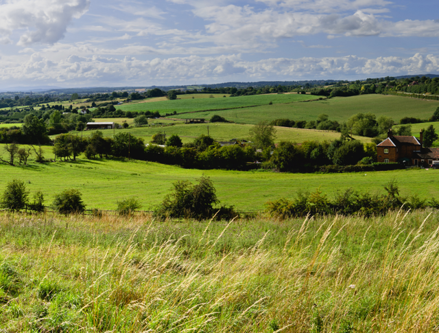 Peaceful fields in Worcestershire