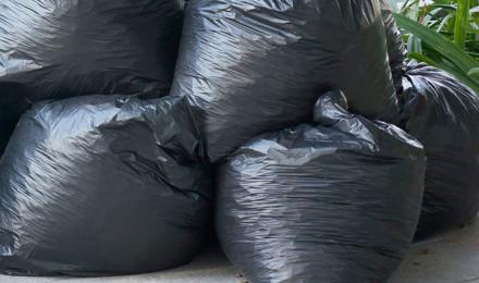 Multiple bags of rubbish