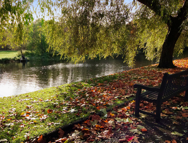 A wooden bench in an autumnal park in Warwick